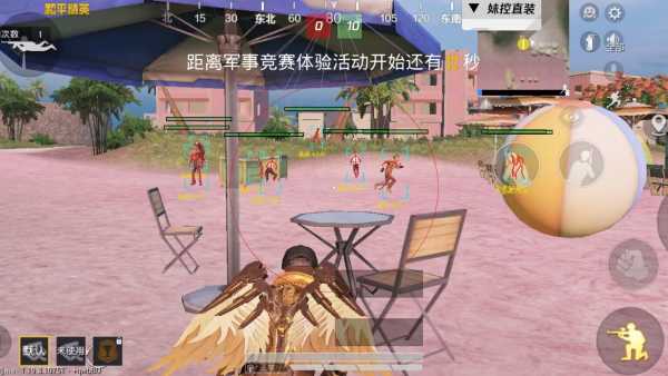 和平精英辅助【九世】